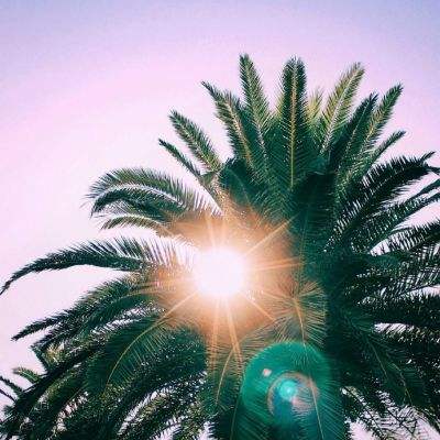 江南体育手机app下载截图