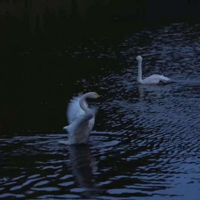 28圈游戏官网平台