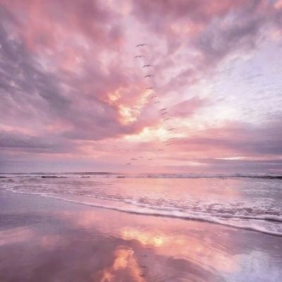 皇冠app官方版下载安装