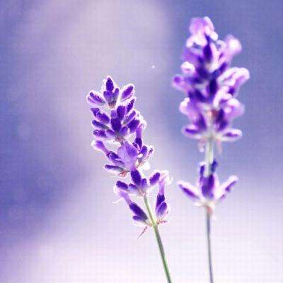 爱游戏全站APP下载手机app下载