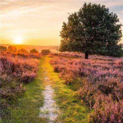 星空app官方下载最新版本