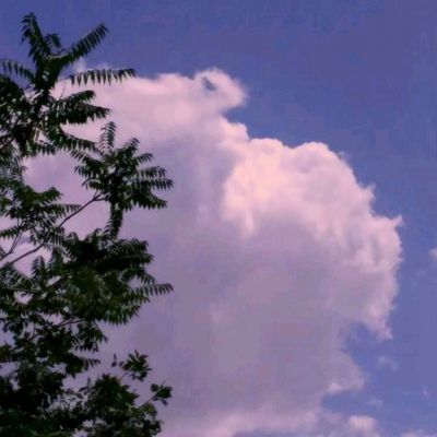 欧意app官网下载